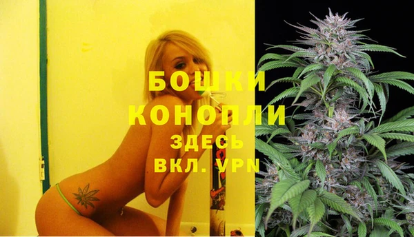 ГАЛЛЮЦИНОГЕННЫЕ ГРИБЫ Белокуриха