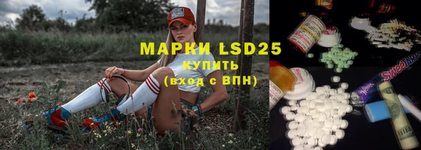 ГАЛЛЮЦИНОГЕННЫЕ ГРИБЫ Белокуриха