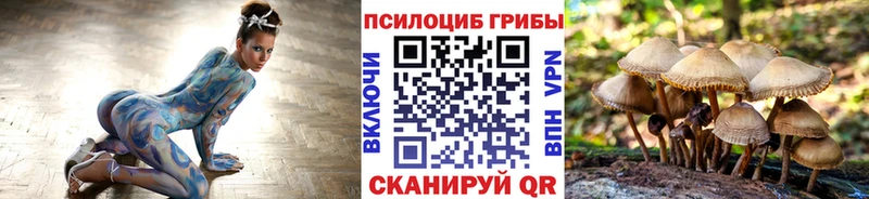 Псилоцибиновые грибы Cubensis  Комсомольск 